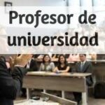 profesor de universidad destacada