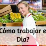 ¿Cómo trabajar en Dia?