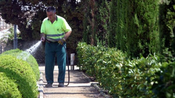 Oferta de empleo para jardineros en FCC
